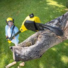 Best Leaf Removal  in Newington, VA
